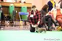 Crufts2011_2 419